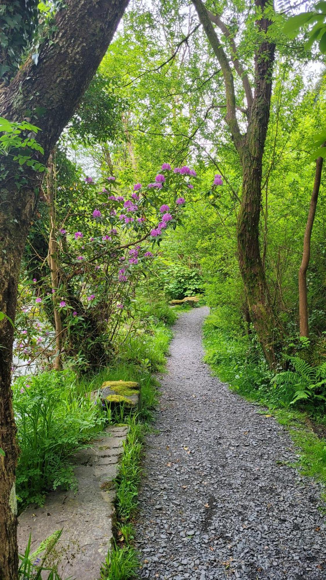 The Granary Corris On The Edge Of The Dyfi Forest Eksteriør billede